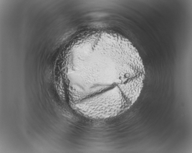 X0000076050355200610201927