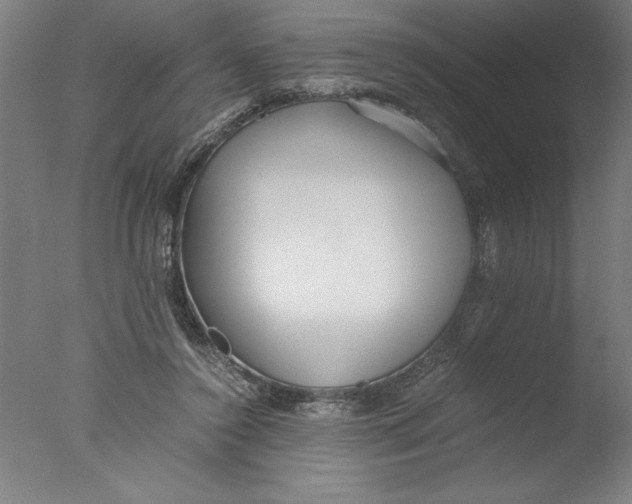 X0000076050356200610201927