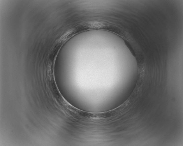 X0000076050360200610201928