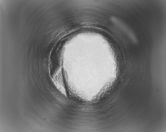 X0000076050361200610201928