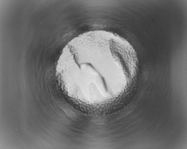 X0000076050369200610201928