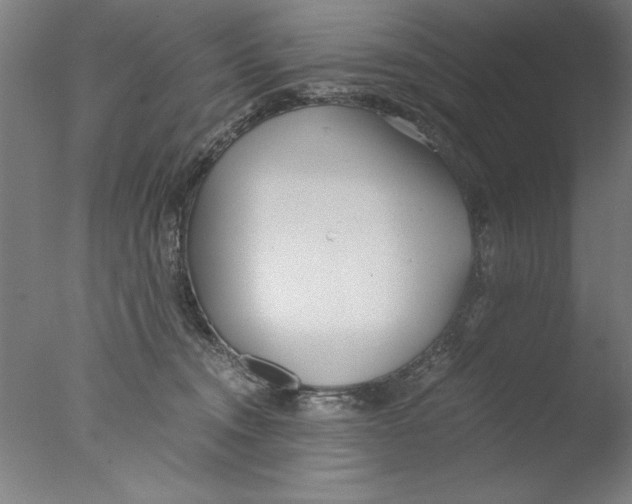 X0000076050372200610201928