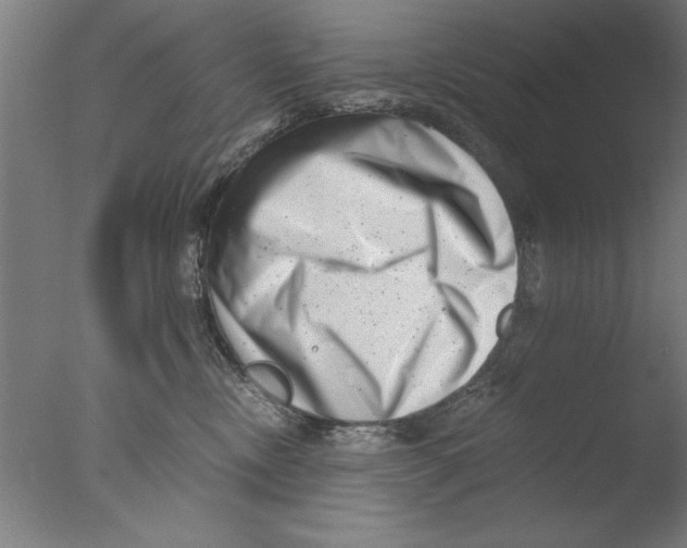 X0000076050378200610201928