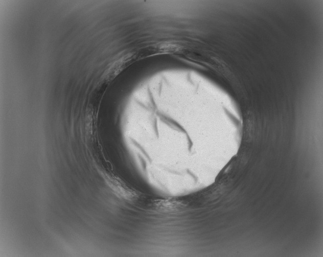 X0000076050379200610201928