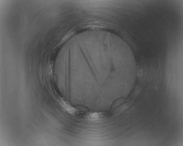 X0000076050382200610201928