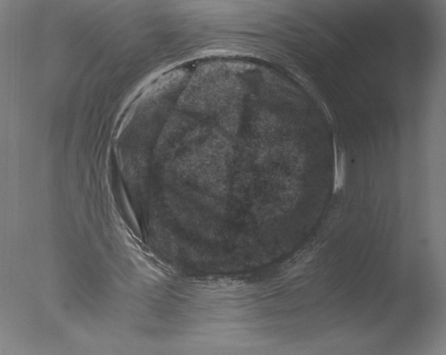 X0000076050387200610201925