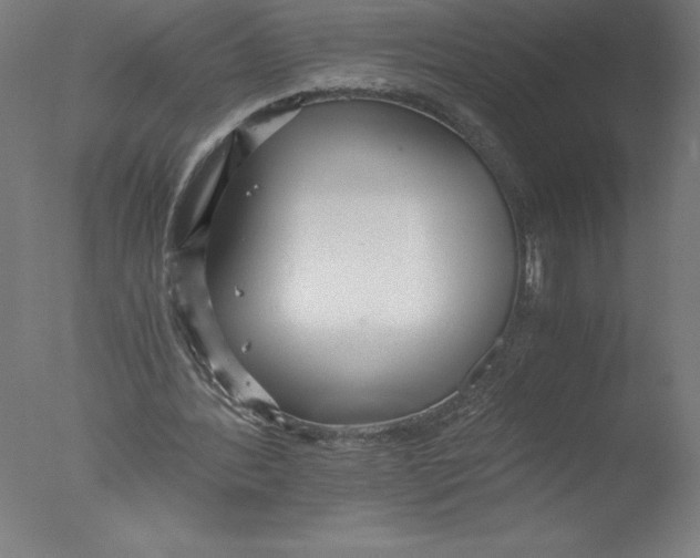 X0000076050388200610201925