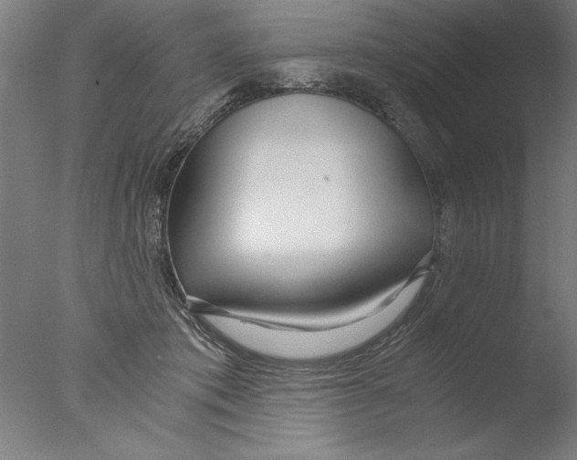 X0000076050413200610201925