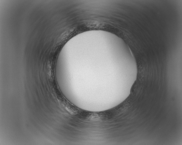 X0000076050416200610201925