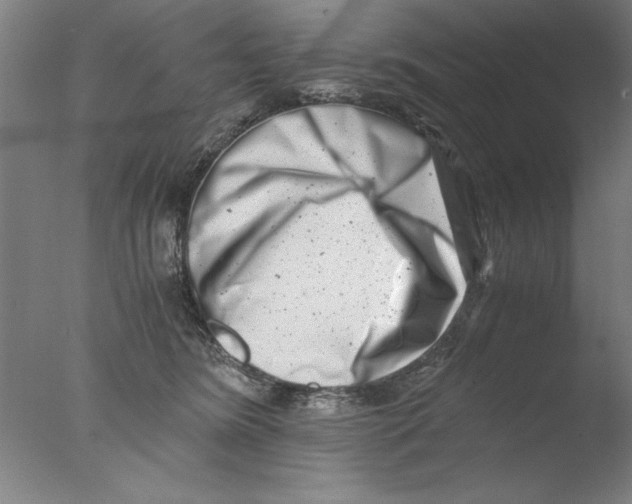 X0000076050420200610201924