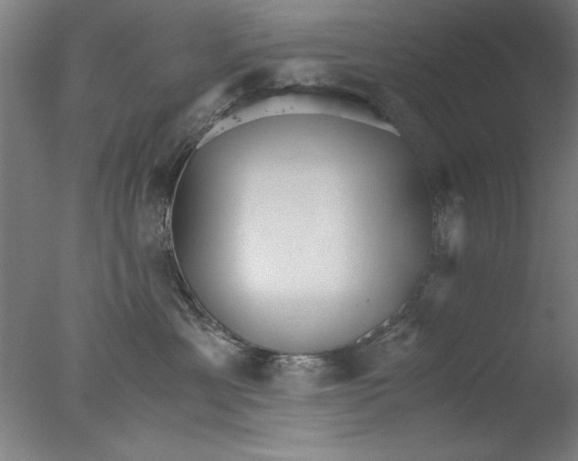 X0000076050429200610201924
