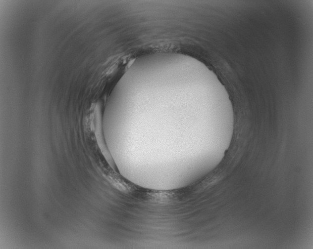 X0000076050432200610201924