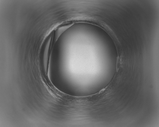 X0000076050436200610201923