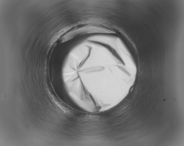 X0000076050437200610201923