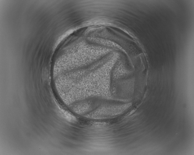 X0000076050438200610201923
