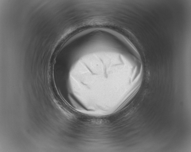 X0000076050439200610201923