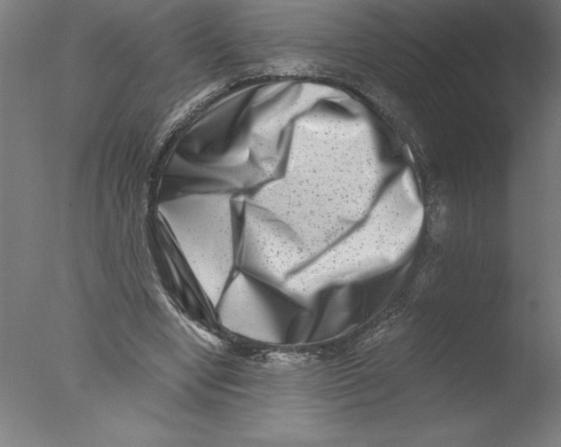 X0000076050442200610201923