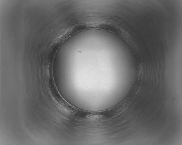X0000076050452200610201923