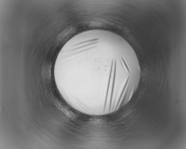 X0000076050454200610201923