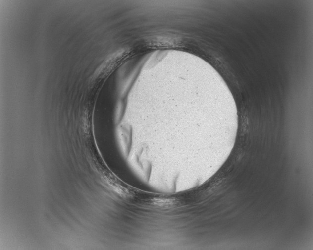 X0000076050457200610201924