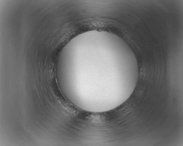 X0000076050464200610201924