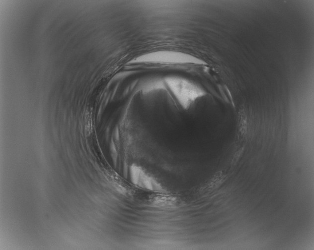 X0000076050471200610201924