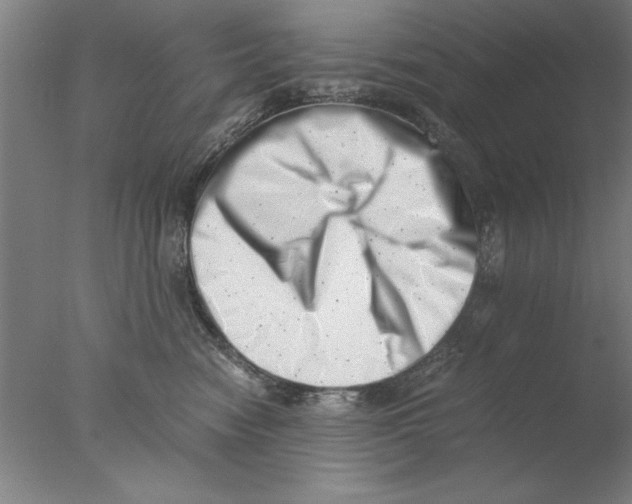 X0000076050474200610201924