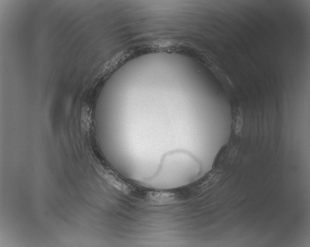 X0000076050476200610201924