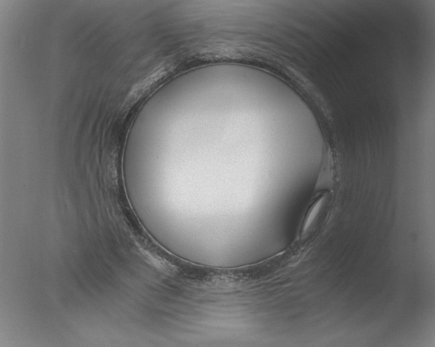 X0000076050489200610201923