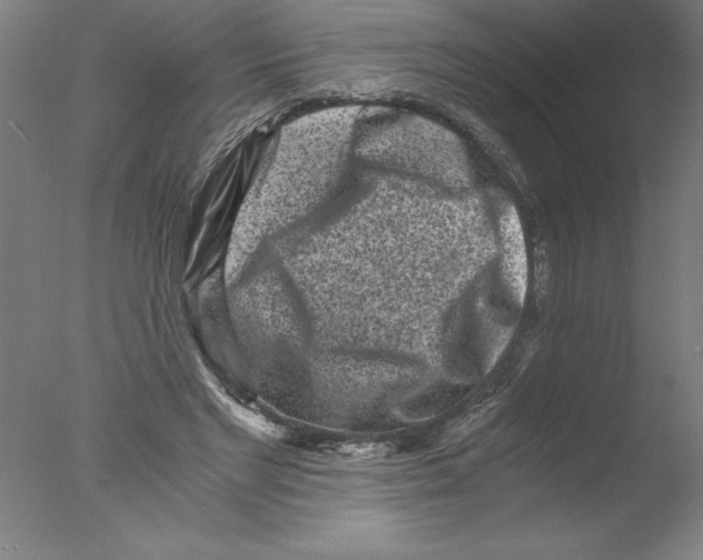 X0000076050493200610201923