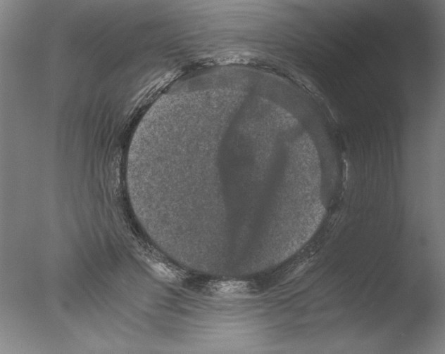 X0000076050501200610201923