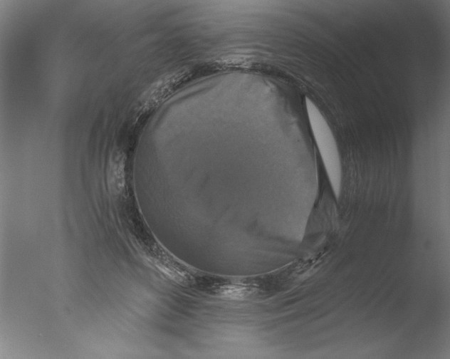 X0000076050504200610201923
