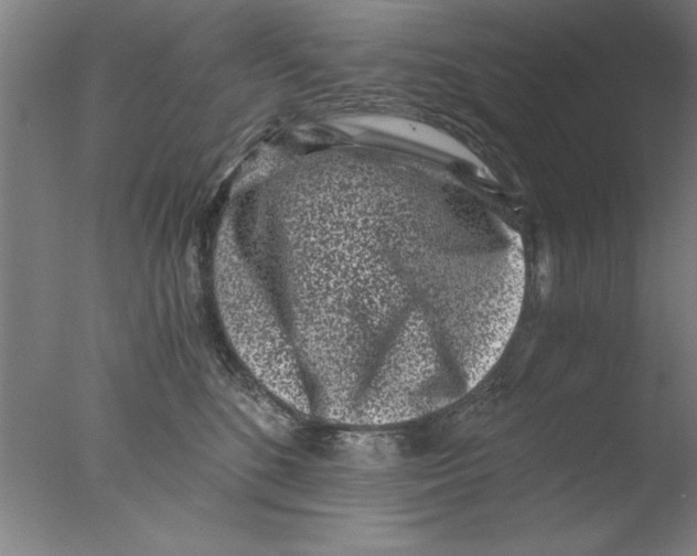 X0000076050520200610201922