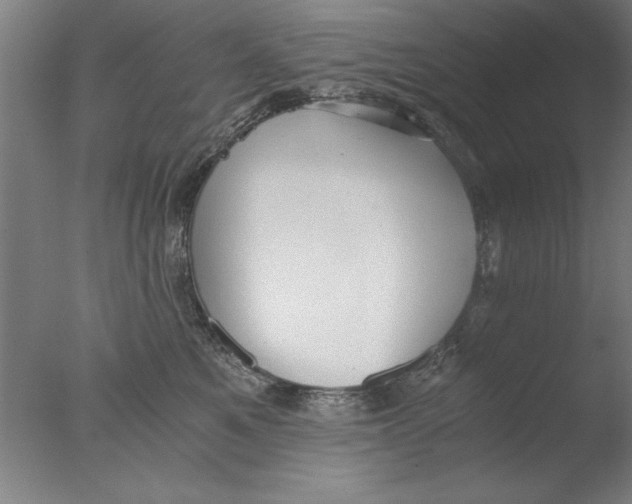 X0000076050521200610201922