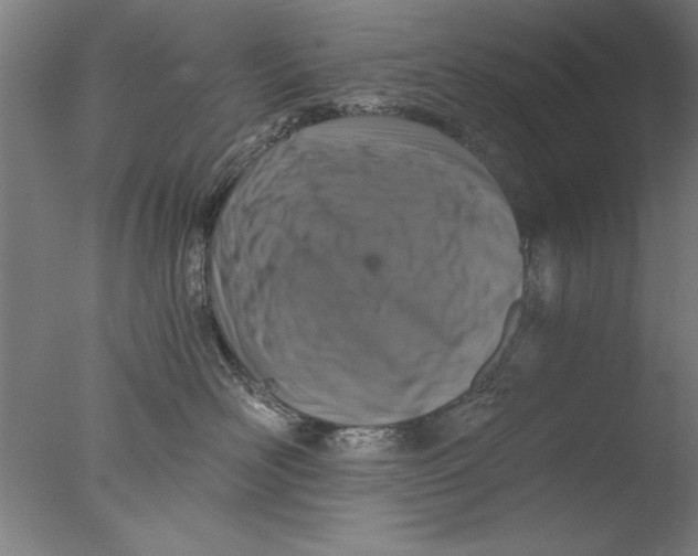 X0000076050526200610201922