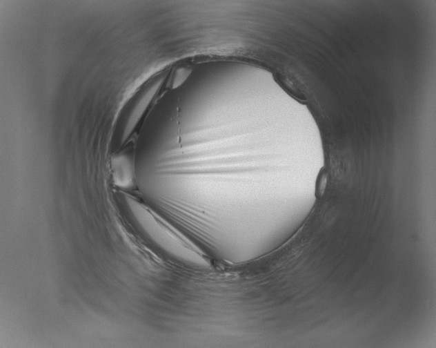 X0000076050532200610201922