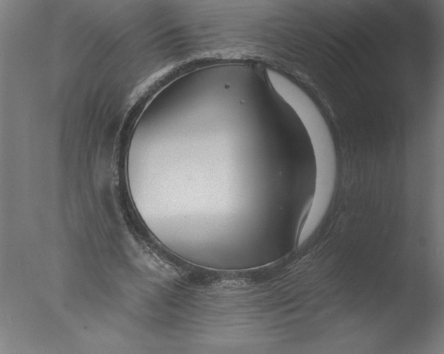 X0000076050536200610201922