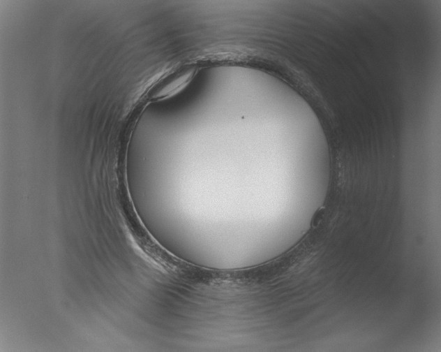 X0000076050538200610201922