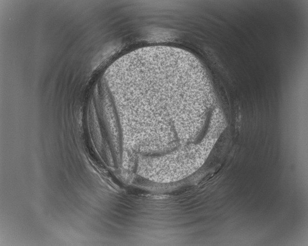 X0000076050539200610201922