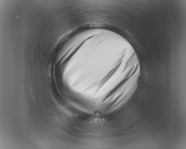 X0000076050543200610201922