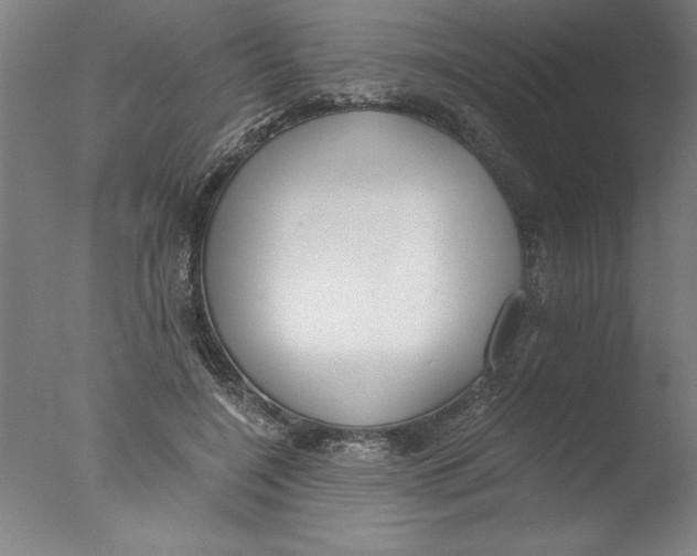 X0000076050548200610201922
