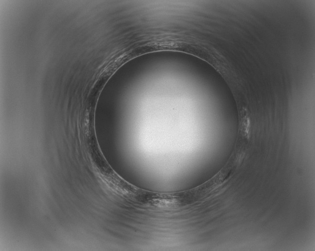 X0000076050552200610201922