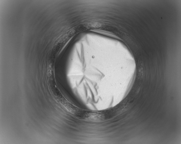 X0000076050555200610201922