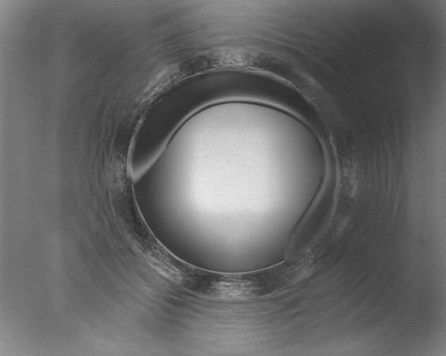 X0000076050556200610201922