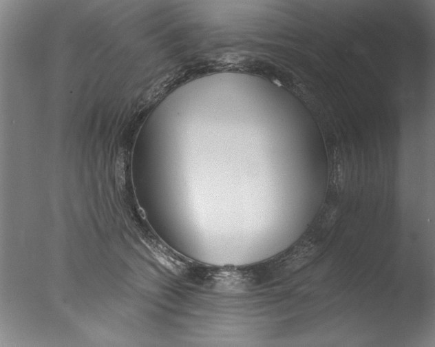X0000076050562200610201922