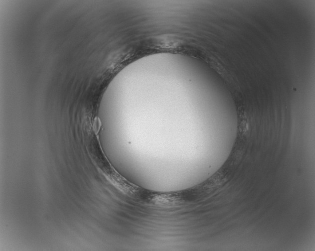 X0000076050568200610201922