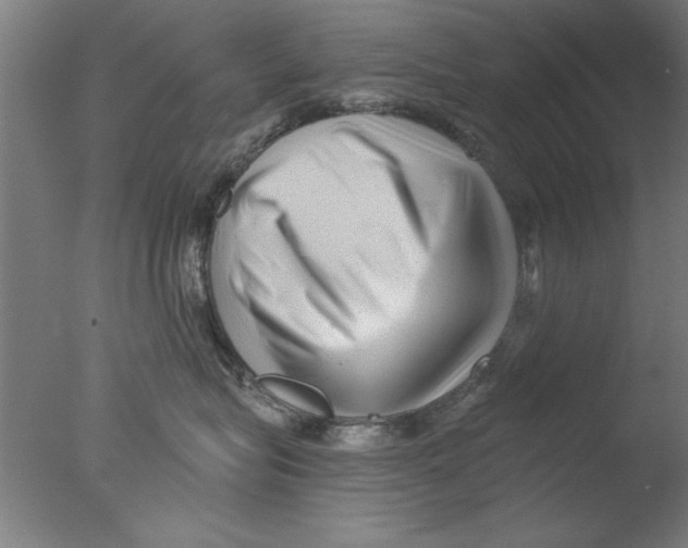 X0000076050575200610201922