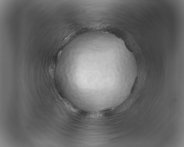 X0000076050576200610201922