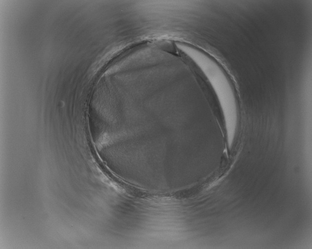 X0000076050577200610201921