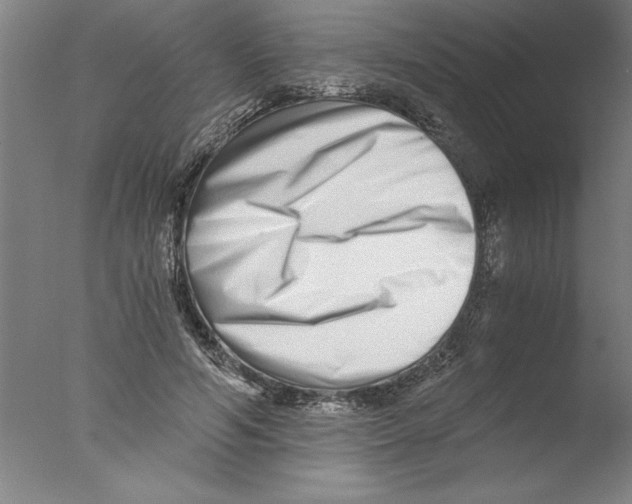 X0000076050594200610201921